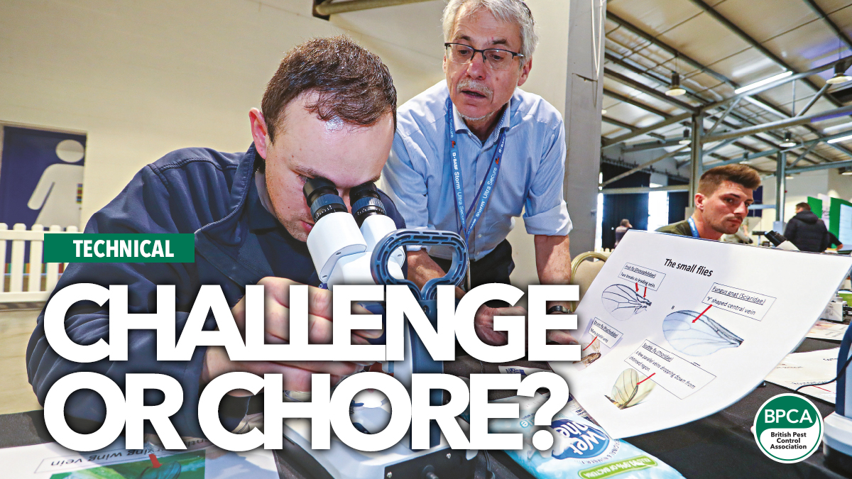 challenge-or-chore